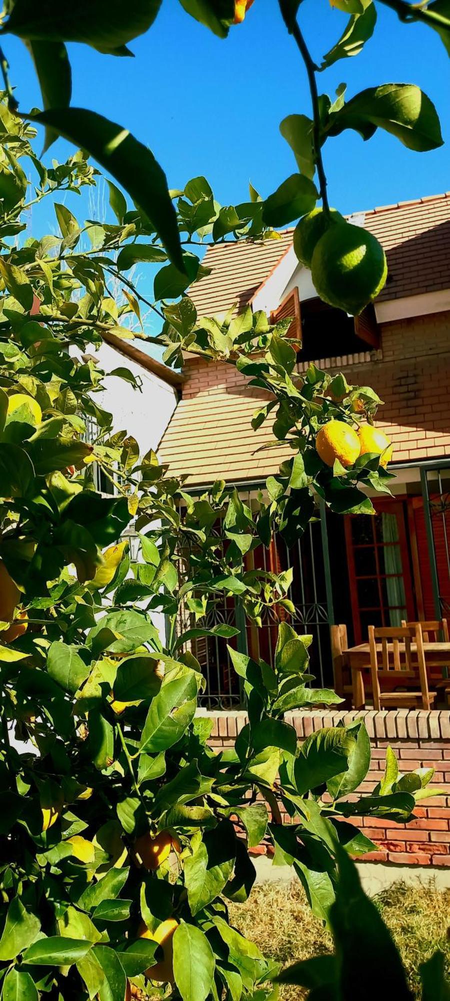 Bed and Breakfast Casa Bravo Мендоса Экстерьер фото